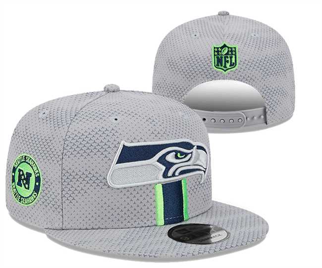 Seattle Seahawks 2025 Stitched Snapback Hats,We sell and wholesale Seattle Seahawks 2025 Stitched Snapback Hats on line form chian!